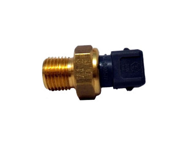 فشنگی فشار روغن 405(مهره روغن)